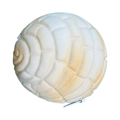 round rubber cream concha coin purse