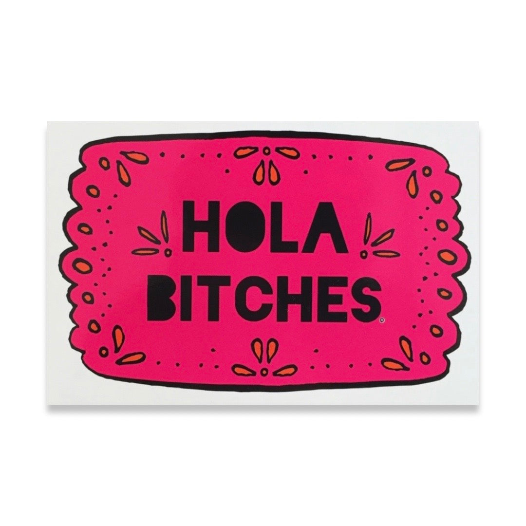 Hola Bitches on pink papel picado postcard.