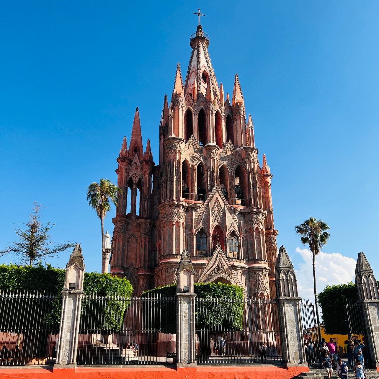 Updated Favorites in San Miguel de Allende