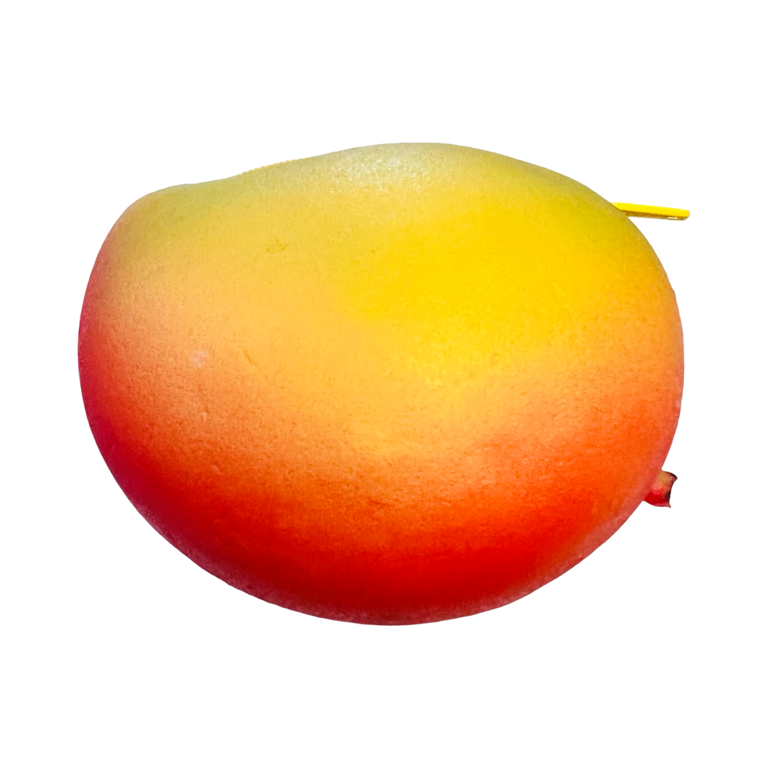 Mango Coin Pouch – Artelexia