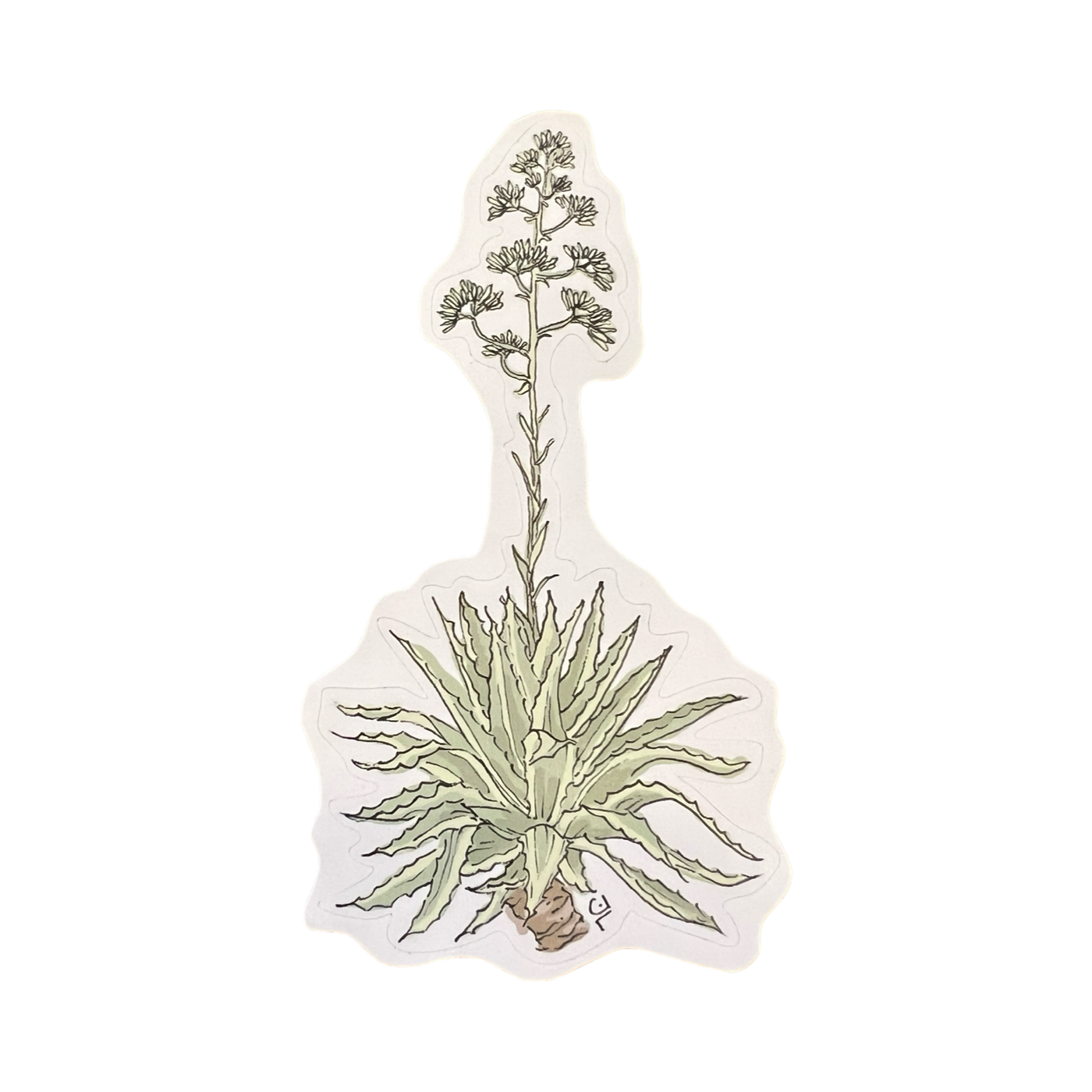 Illustrated sticker of an agave plant with detailed leaves and a tall flowering stalk, showcasing its natural beauty.