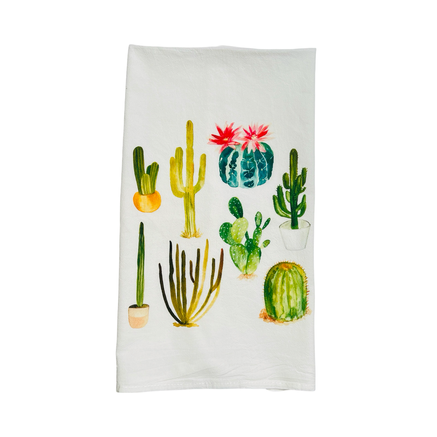 natural flour sack towel folded in quarters featuring images various types of cacti