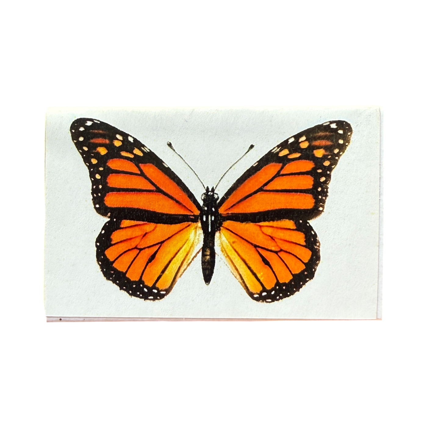 Monarch Matches | Decorative Home Matches | Artelexia