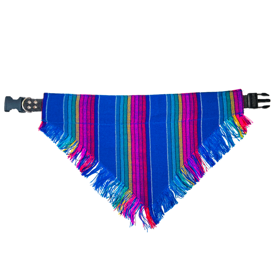 blue striped Mexican dog bandana with a black collar