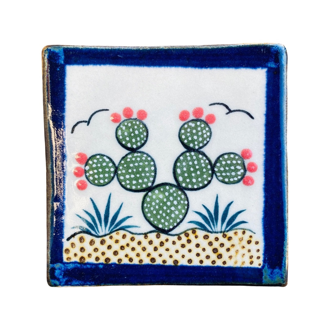square stoneware coaster with an image of a cactus