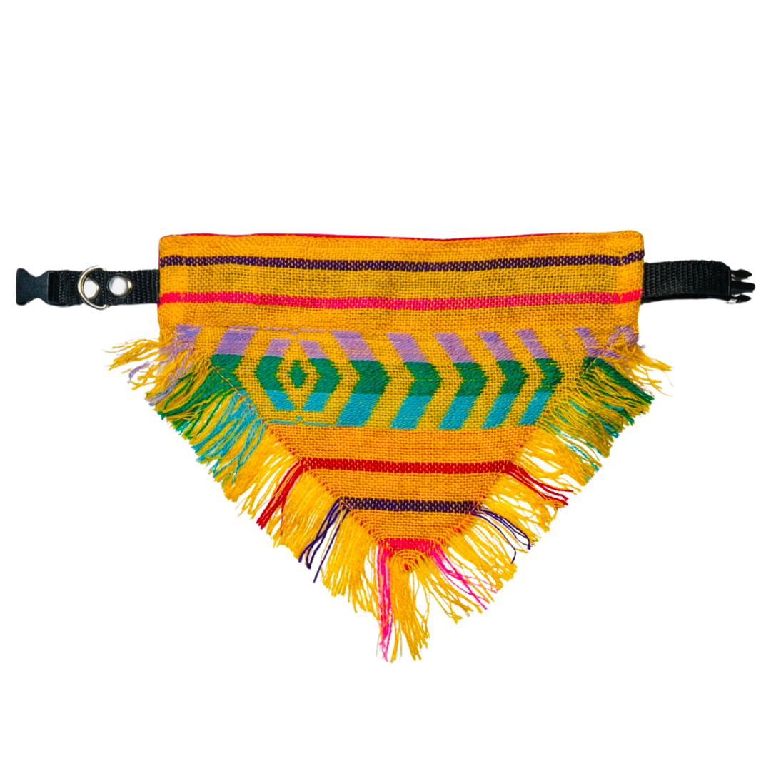 yellow striped Mexican dog bandana with a black collar