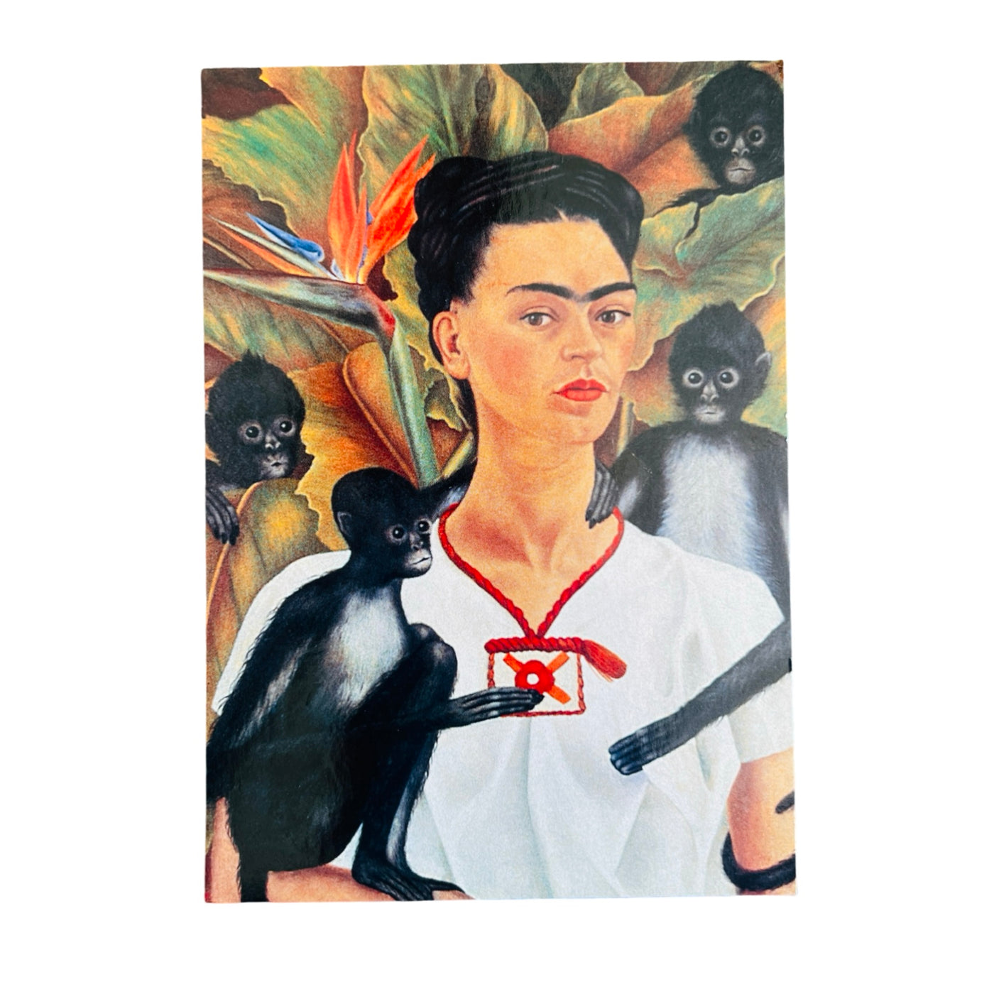 colored illustration on Frida with 4 black monkeys and a bird of paradise.