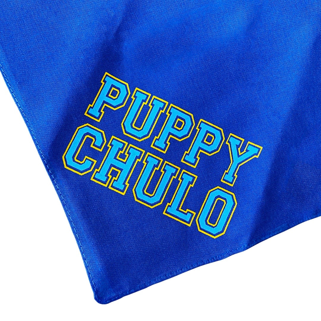 Up close view on "Puppy Chulo" bright blue dog bandana.