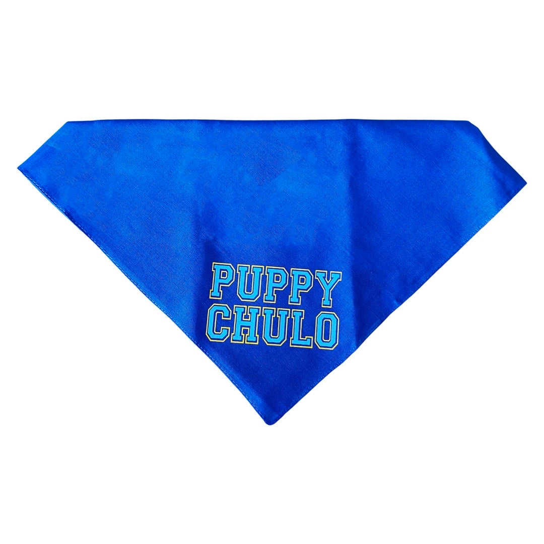 Bright blue dog bandana reads, "Puppy Chulo."