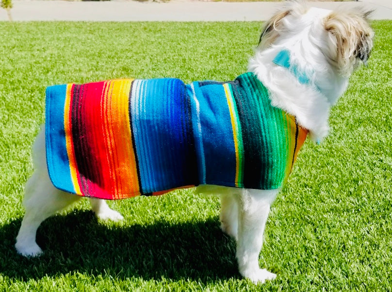 Side view of colorful poncho on dog model.