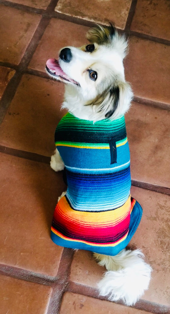 Top view of colorful poncho on dog model.