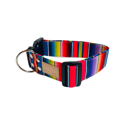 Multicolored serape dog collar. 