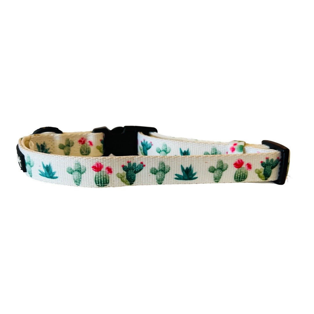 White dog collar with green cacti featuring black snap closures and ring.