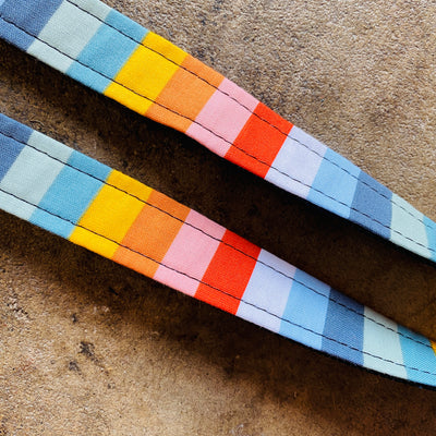 Up close view of two identical colorful striped dog collars.