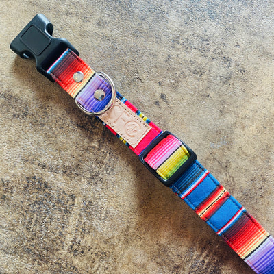 Top view of multicolored serape dog collar with focus on snap and buckle.