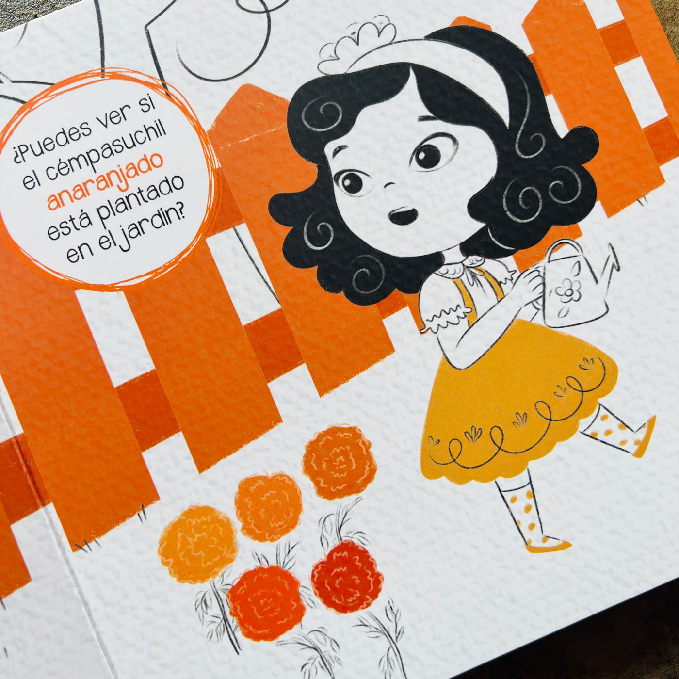 Little girl in an orange dress and fence watering marigolds of various shades of orange as well as a text bubble with the following phrase: Puedes ver si el cempasuchil anaranjado esta plantado en el jardin? Translation: Can you look to see if the orange cempasuchil, or marigold, is planted in the garden?
